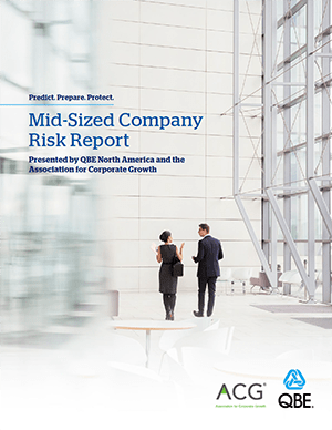 Mid Sized Company Risk Report 2021